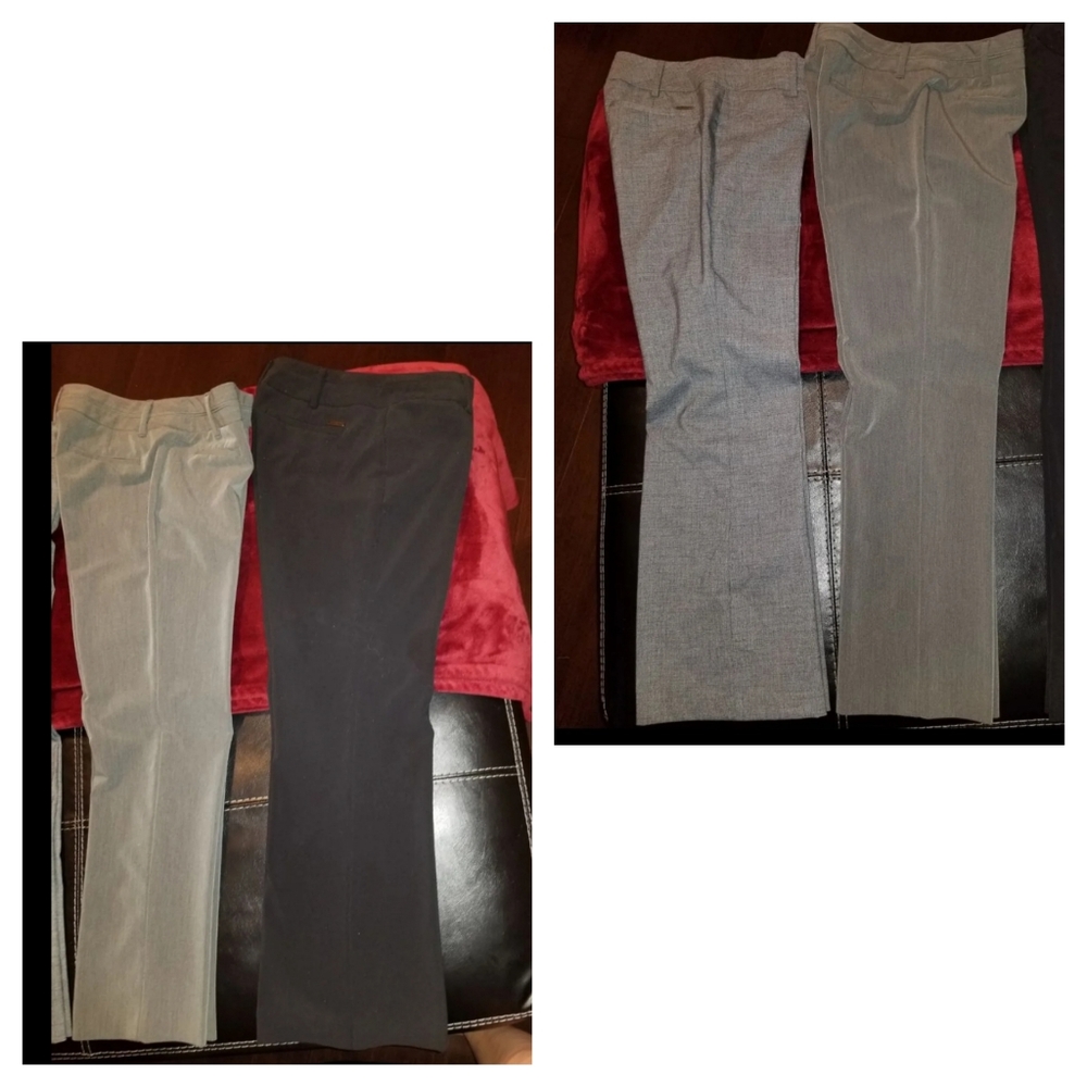 Dress pants